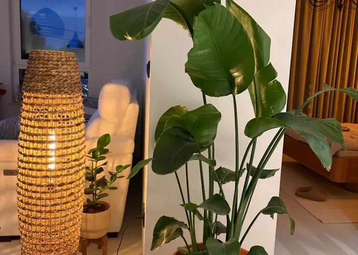 Blablaflat Aura Mokotow * Warsaw