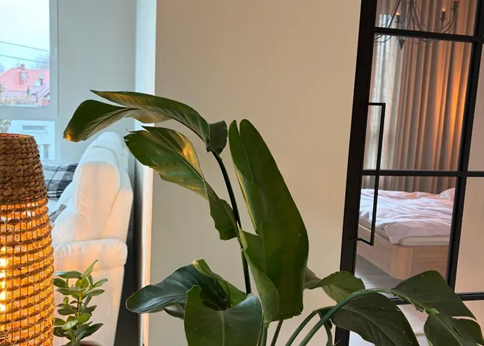 Blablaflat Aura Mokotow * Warsaw